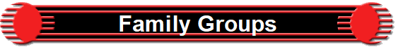 Family Groups